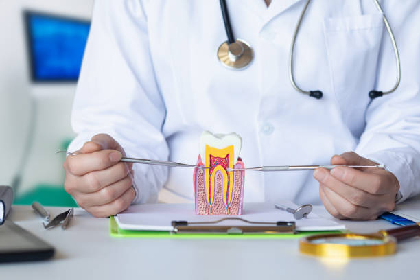 Best Emergency Care for Gum Disease in Oral City, FL